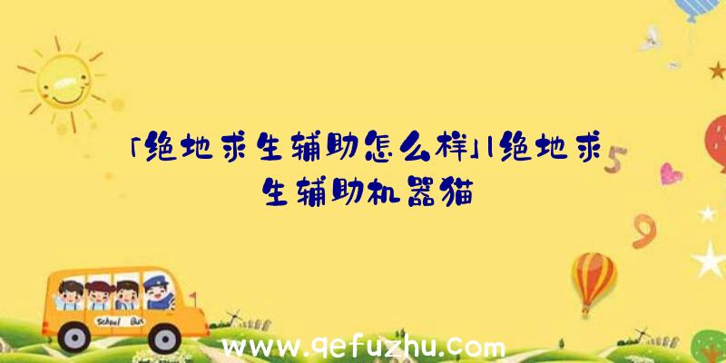 「绝地求生辅助怎么样」|绝地求生辅助机器猫